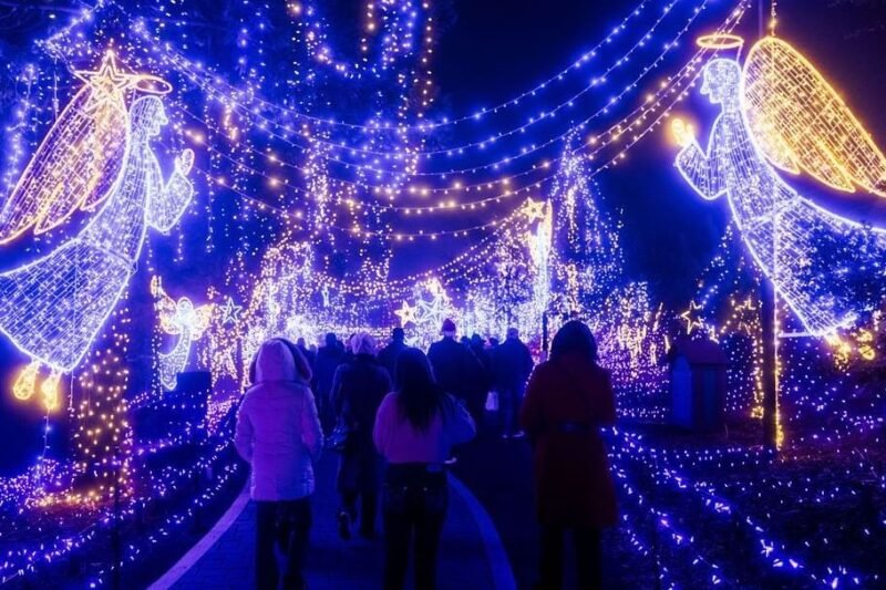 Cambria Christmas Market 2026: Your Ultimate Beginner’s Guide to a Magical Holiday Experience